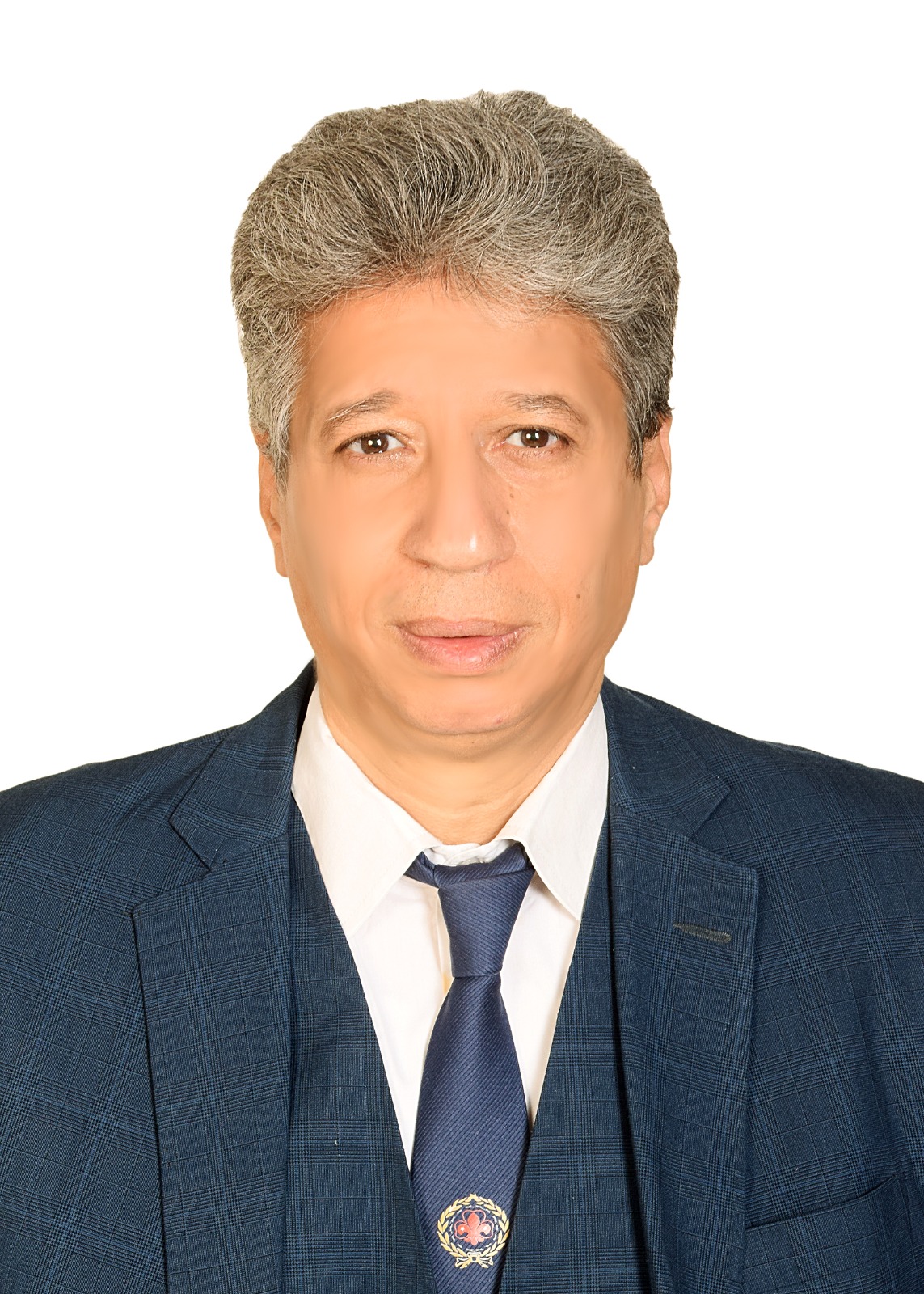 Ayman Emam Ahmed Afifi 
